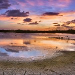 Colliers Pond Grand Cayman Island