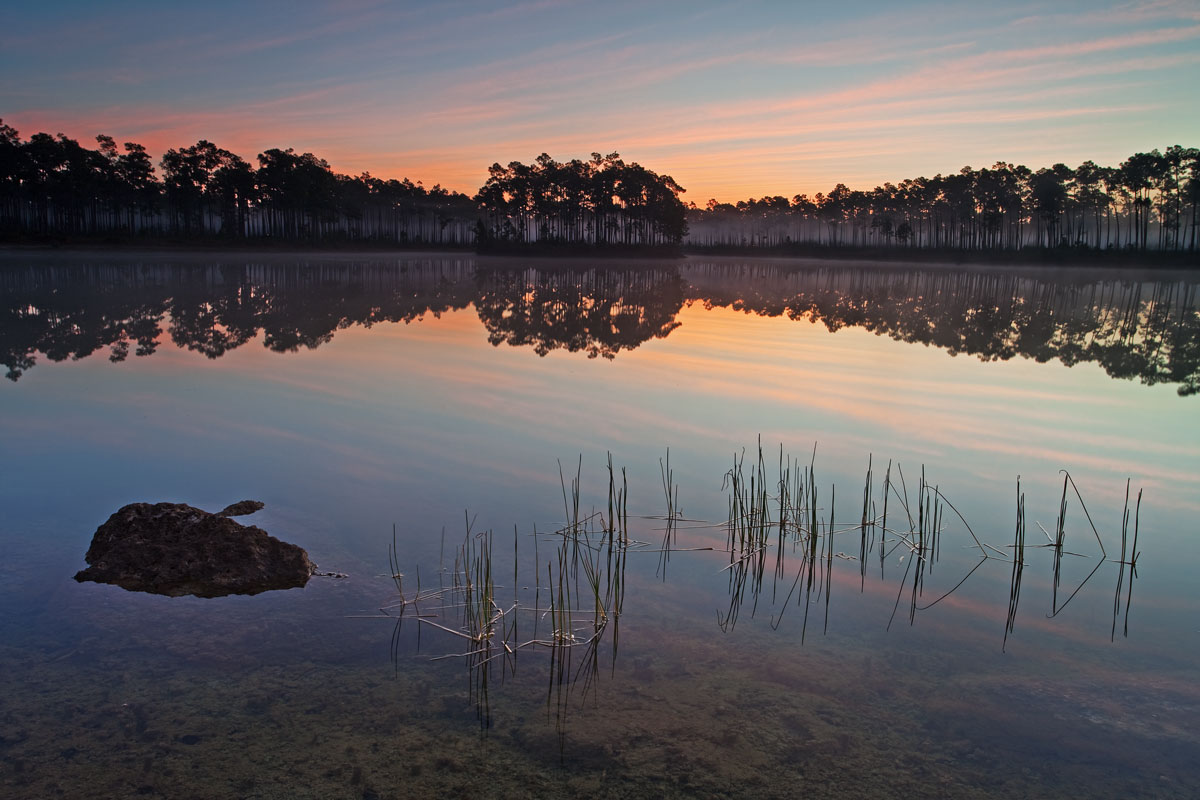 Florida | Naples & Everglades