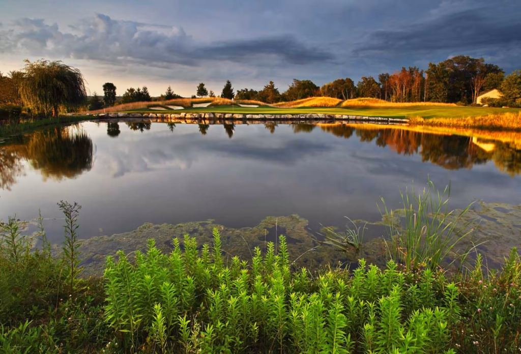 Spot Light PGA TOUR TPC River's Bend Golf Course